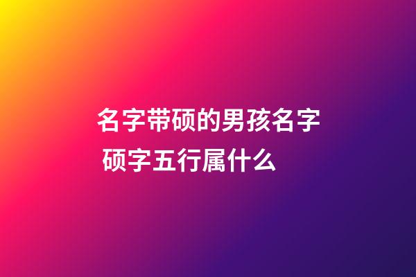 名字带硕的男孩名字 硕字五行属什么